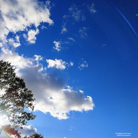 Blue, sunny sky with white clouds.