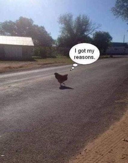 A chicken crossing a road, with a thought bubble that says 