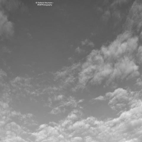 A black-and-white picture of little, white clouds in the sky.