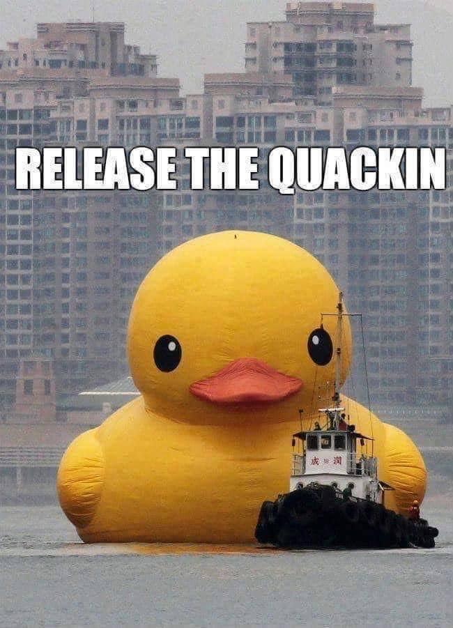 Huge inflatable yellow duck looming ominously behind a boat. Text says, release the quackin.