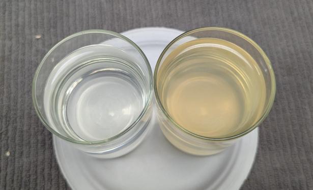 Two glasses of water on a paper plate.  The one on the right looks kinda brown.