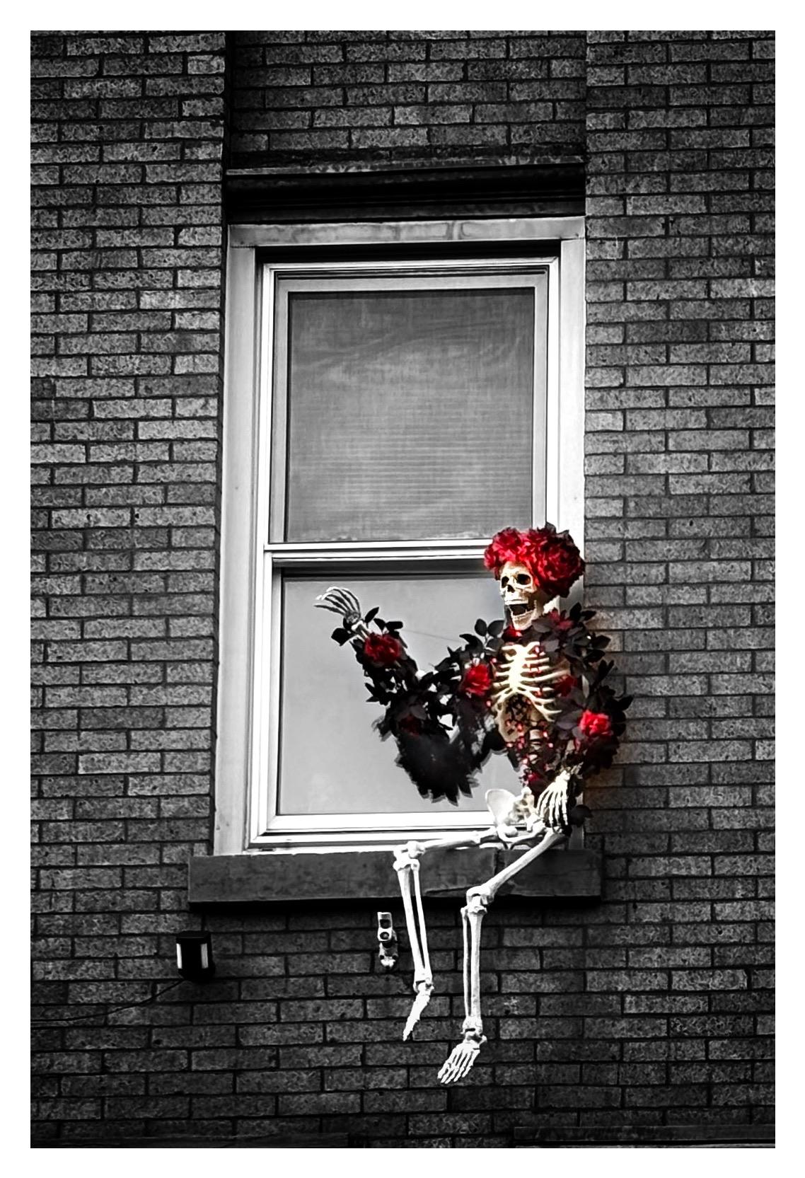 Selective color photo of a Halloween skeleton sitting on the ledge outside a second-story window in a brick apartment building. It wears a floral headdress and has leaves and flowers entwined in its arm bones, and appears to be cheerfully waving at the world. The flowers are a vibrant red while the rest of the image is in black and white.