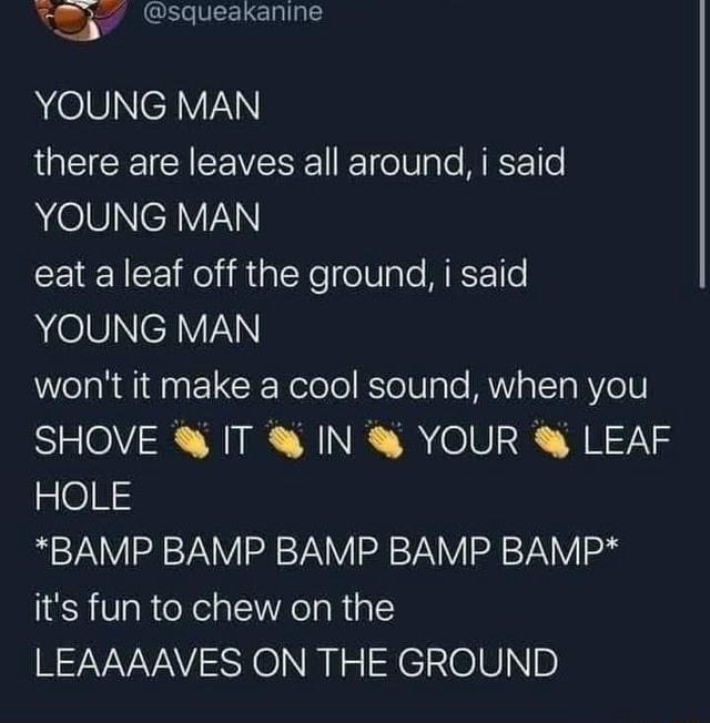 young man! there are leaves all around, I said young man! eat a leaf off the ground, I said young man! won't it make it cool sound when you shove it in your leaf hole! bamp, bamp, bamp, bamp, bamp! it's fun to chew on the leaves on the ground!