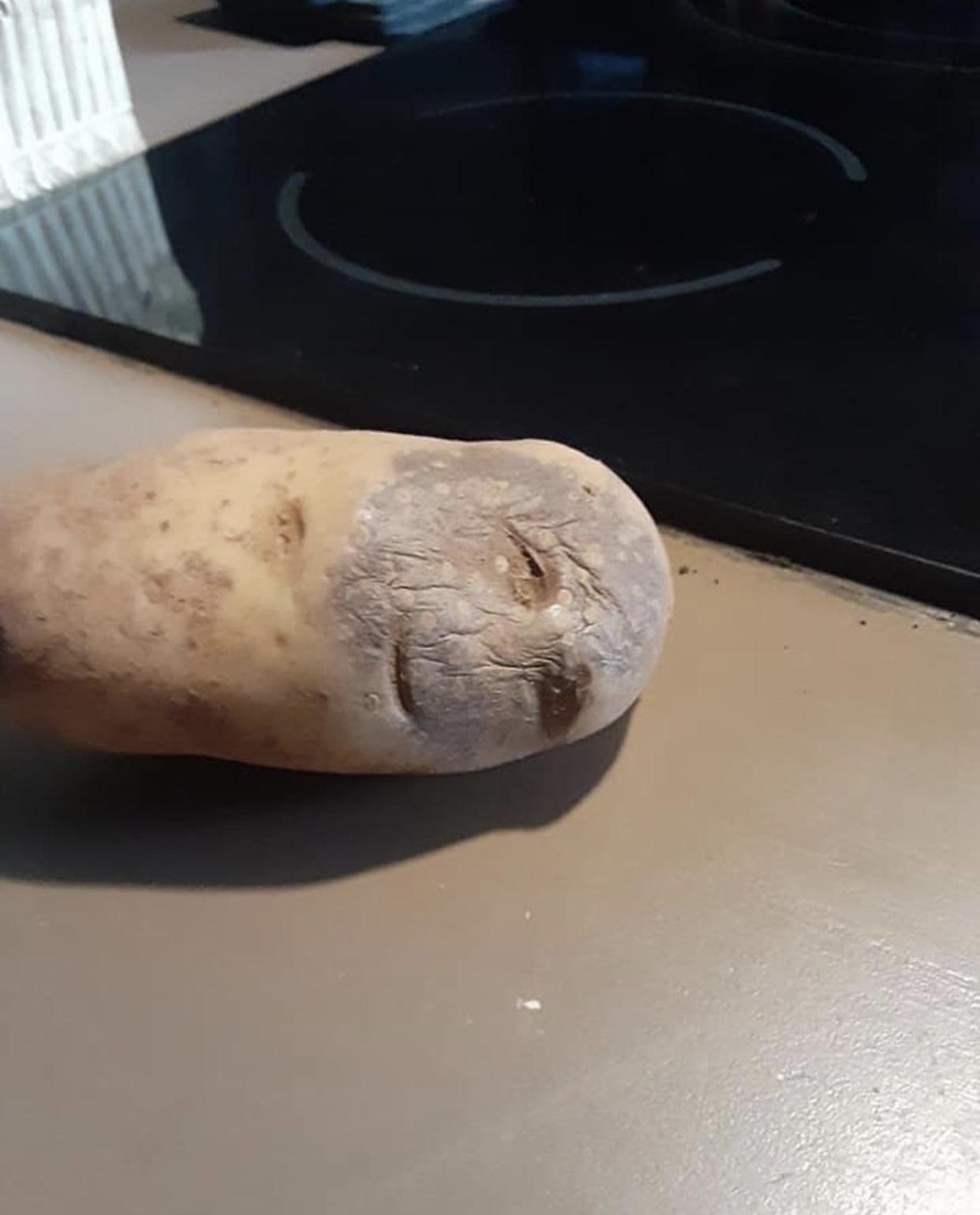 Photo of a potato sitting on a counter next to a stove, but part of the potato is dried out and has what looks to be a wrinkled, smiling face. Potato is very tired. I feel you potato.