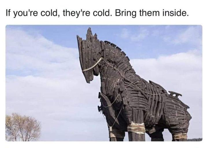 if you're cold, they're cold. bring them inside. 

(picture of a Trojan horse)