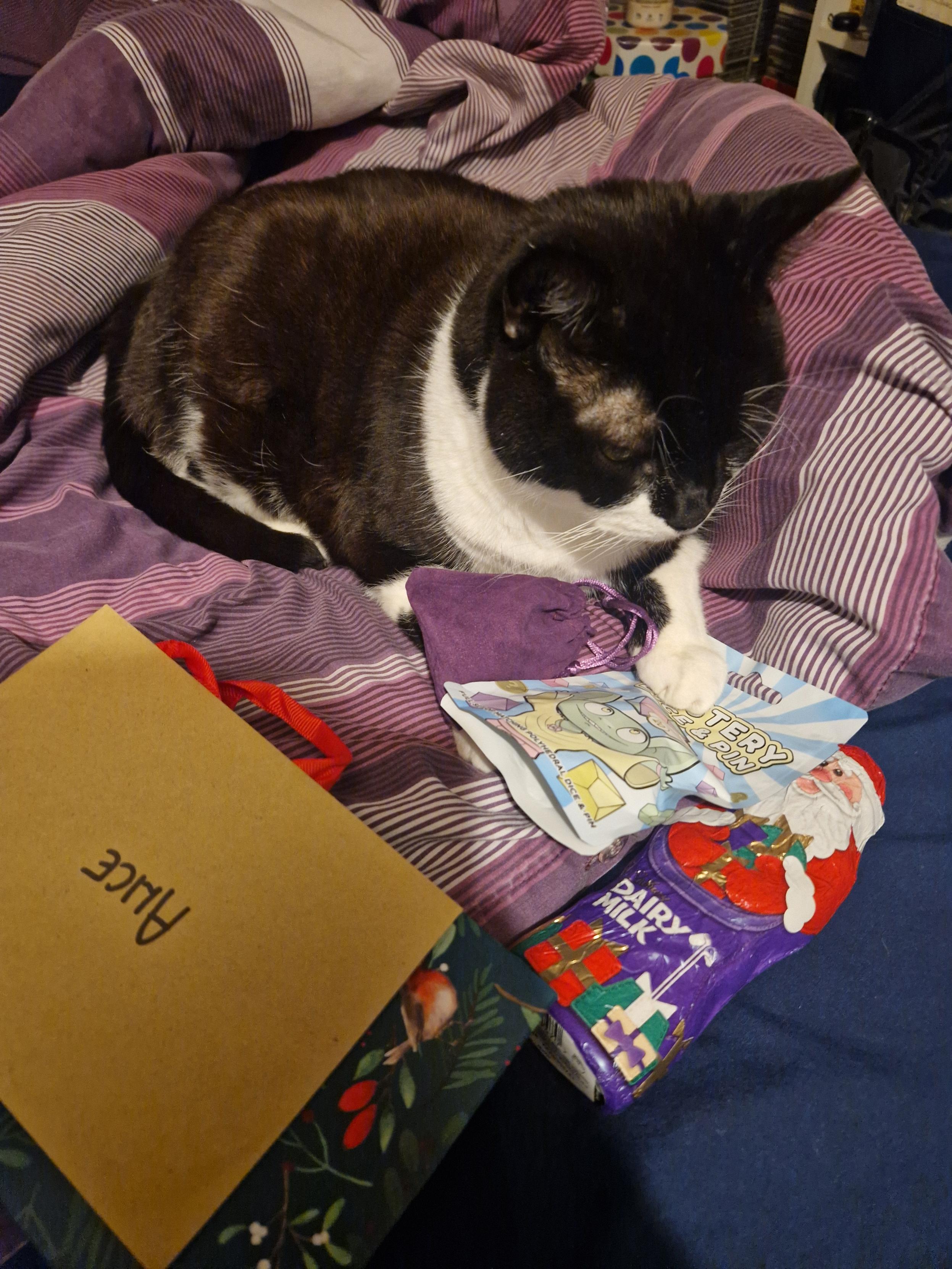 A portly black and white tuxedo cat sitting at the end of a bed on a purple and white striped duvet some Christmas gifts, including a packet of mystery dice he's put his paw on