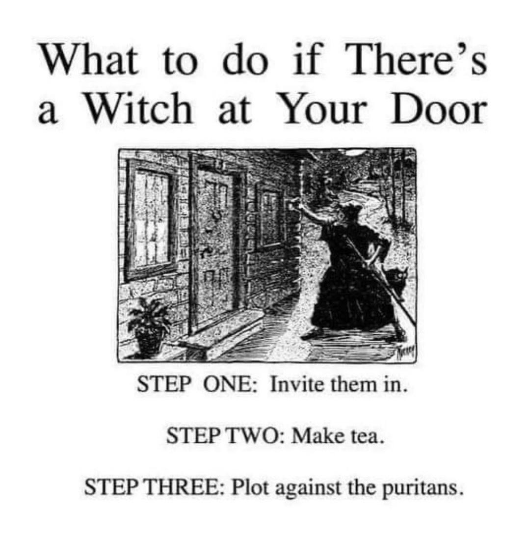 what to do if there's a witch at your door

(black and white illustration of a witch knocking on a door to a house)

step one: invite them in 

step two: make tea 

step three: plot against the Puritans