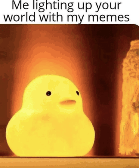 a glowing yellow duck and the caption says me lighting up your world with my memes 
