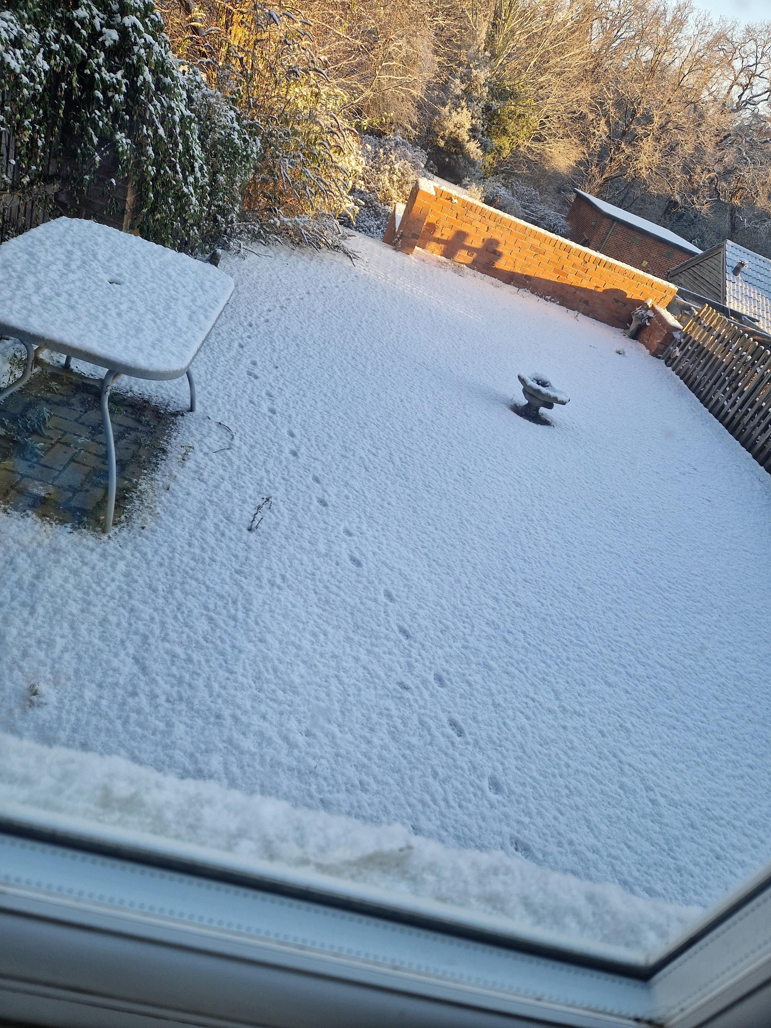 View from a window of a patio covered in a light dusting of snow, with paw prints cutting across it