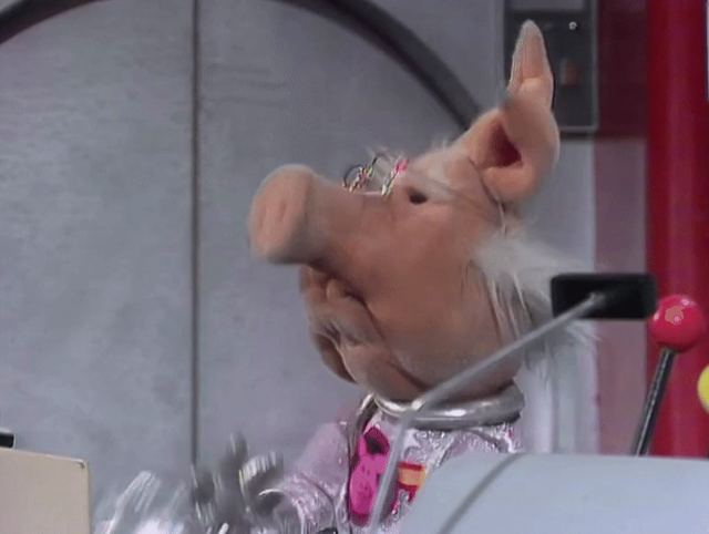Muppet Show GIF of the Day (@GIFS_of_Puppets@ohai.social)