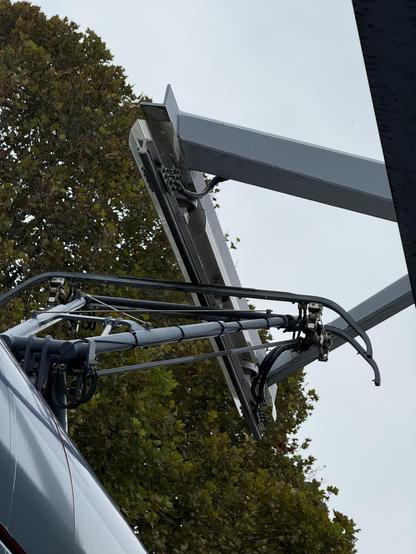 Looking up at a short bit of charging rail extending out from the roof-edge of a trolley station (in Newcastle).  A trolley is stopped underneath it and has its pantograph extended.  There's an incidental tree above all of it, filling half the sky.