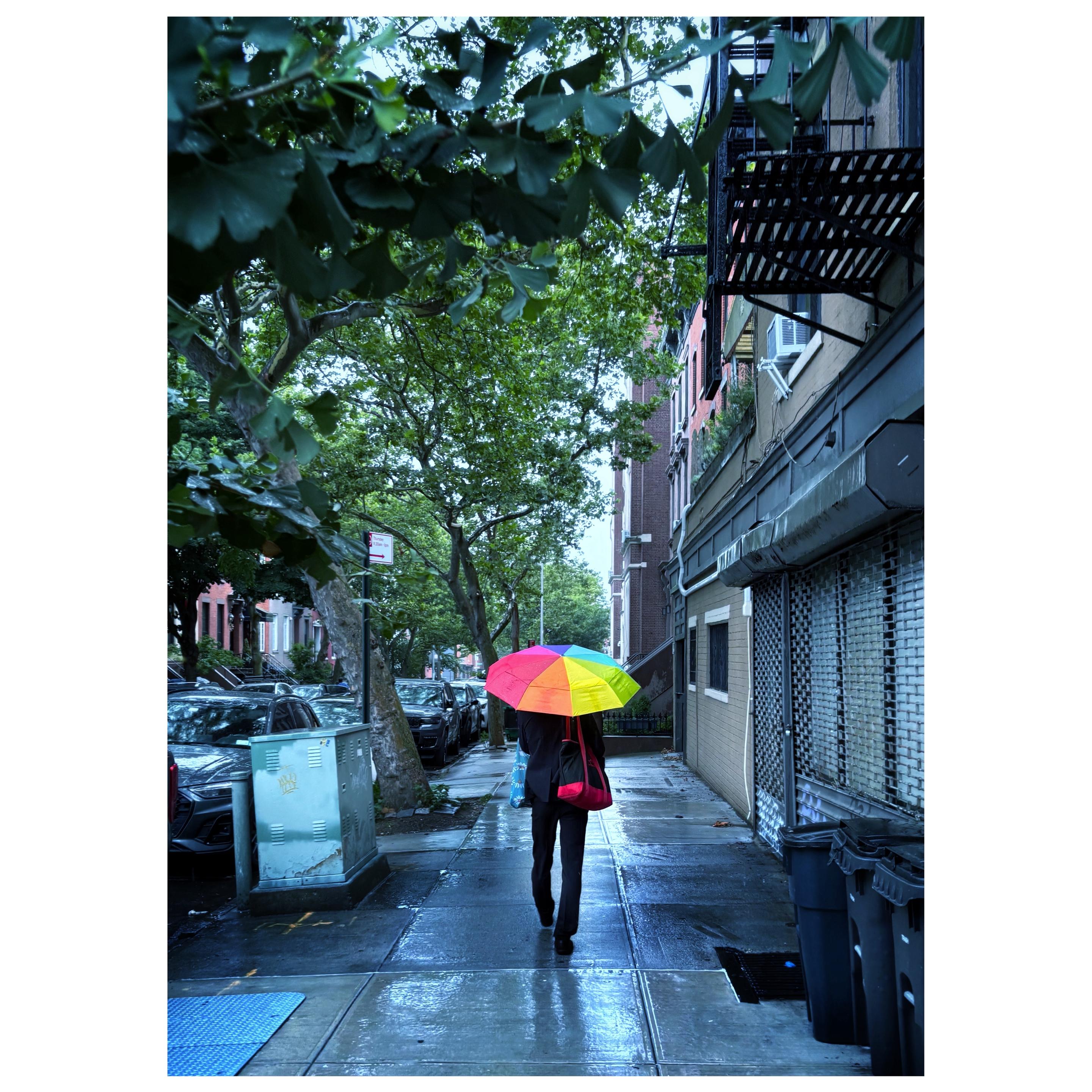 A damp city sidewalk on a rainy day, with a low apartment building on one side and trees raising a green canopy above. At the lower center of the image, a person walks away from camera slinging a blue bag over one shoulder and a red-and-black bag over the other, and hoisting an umbrella with rainbow colors, one color per panel. The colorful umbrella and bags stand out vividly against the more muted blues, browns, and greens of the scene.