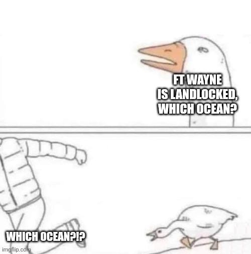 Goose meme. 
Ft Wayne is landlocked, which ocean?
Which ocean?!?