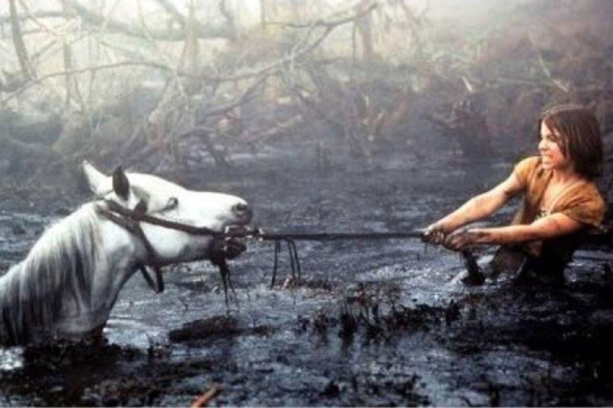 A white horse is buried up to its neck in a black swamp while a young boy tries to pull him out