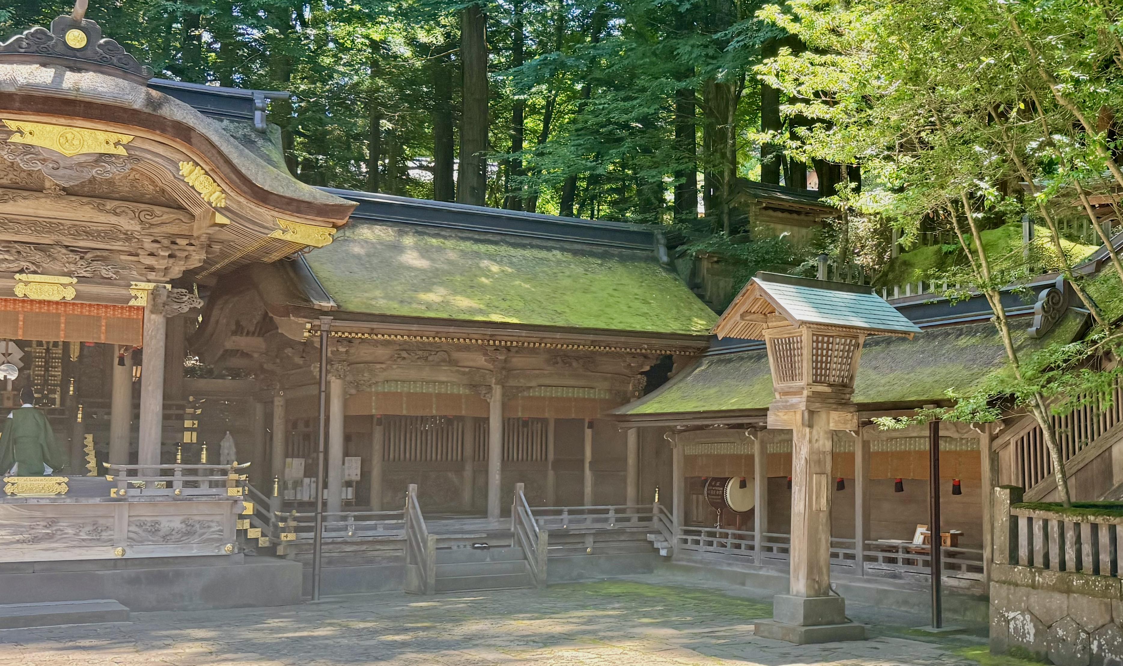 Moss all over the roof of a Japanese jinja.