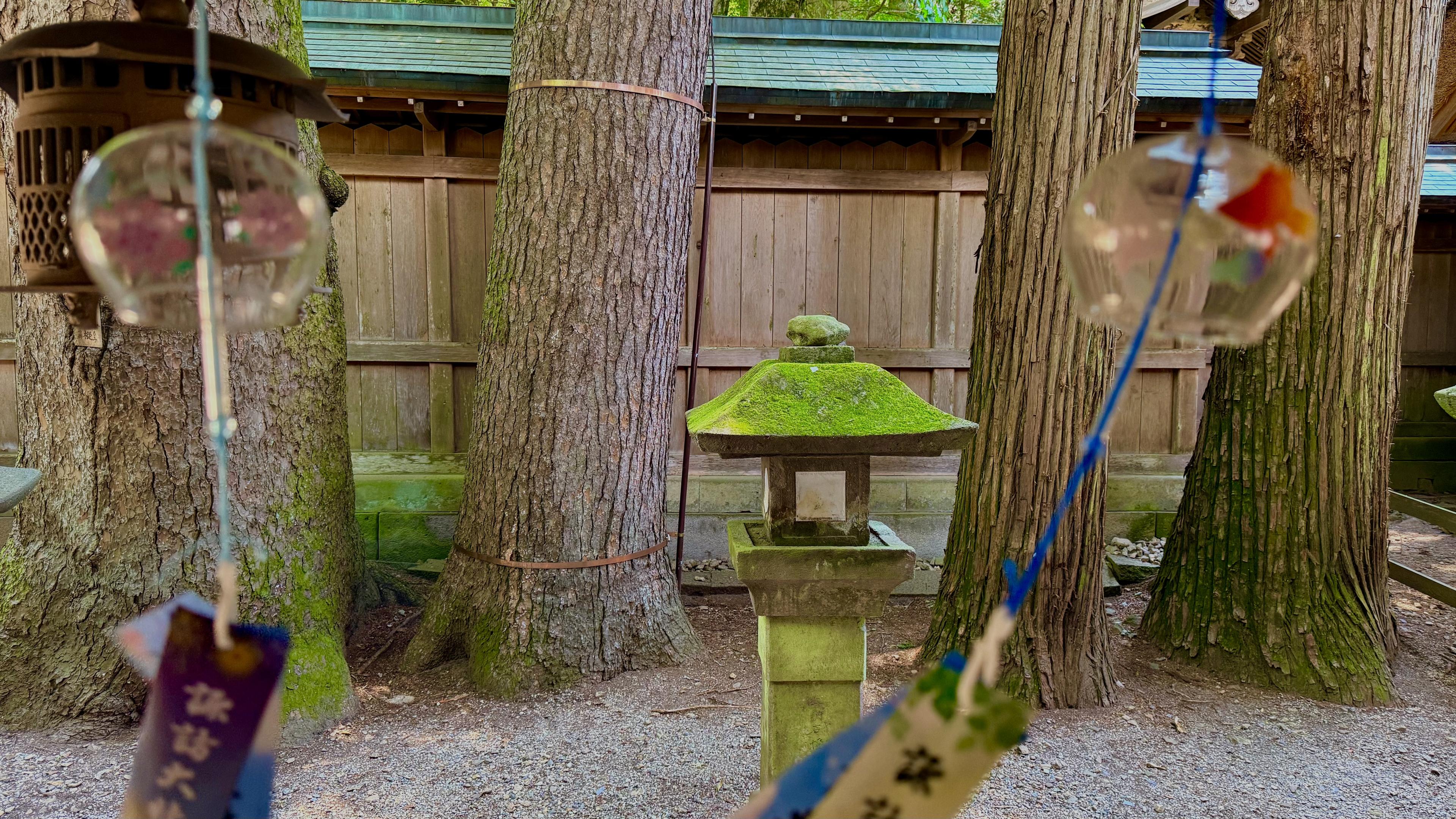 Moss on an old Japanese lantern with two wind chimes in the front