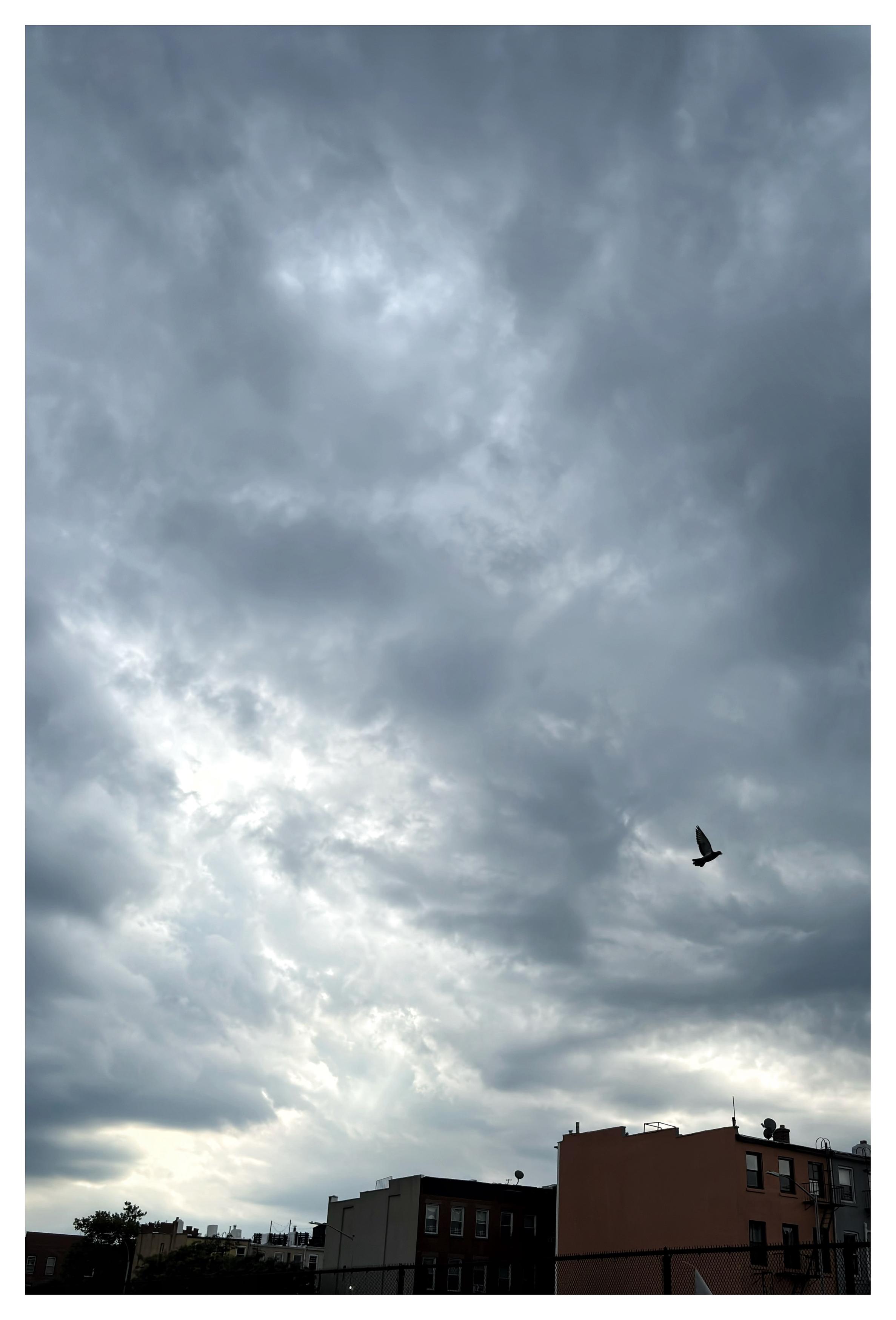 The calm before a storm. Low-rise apartment buildings huddle under an overcast sky with pale sunlight leaking through the clouds. A lone pigeon flies off to the right, silhouetted by the gray light.