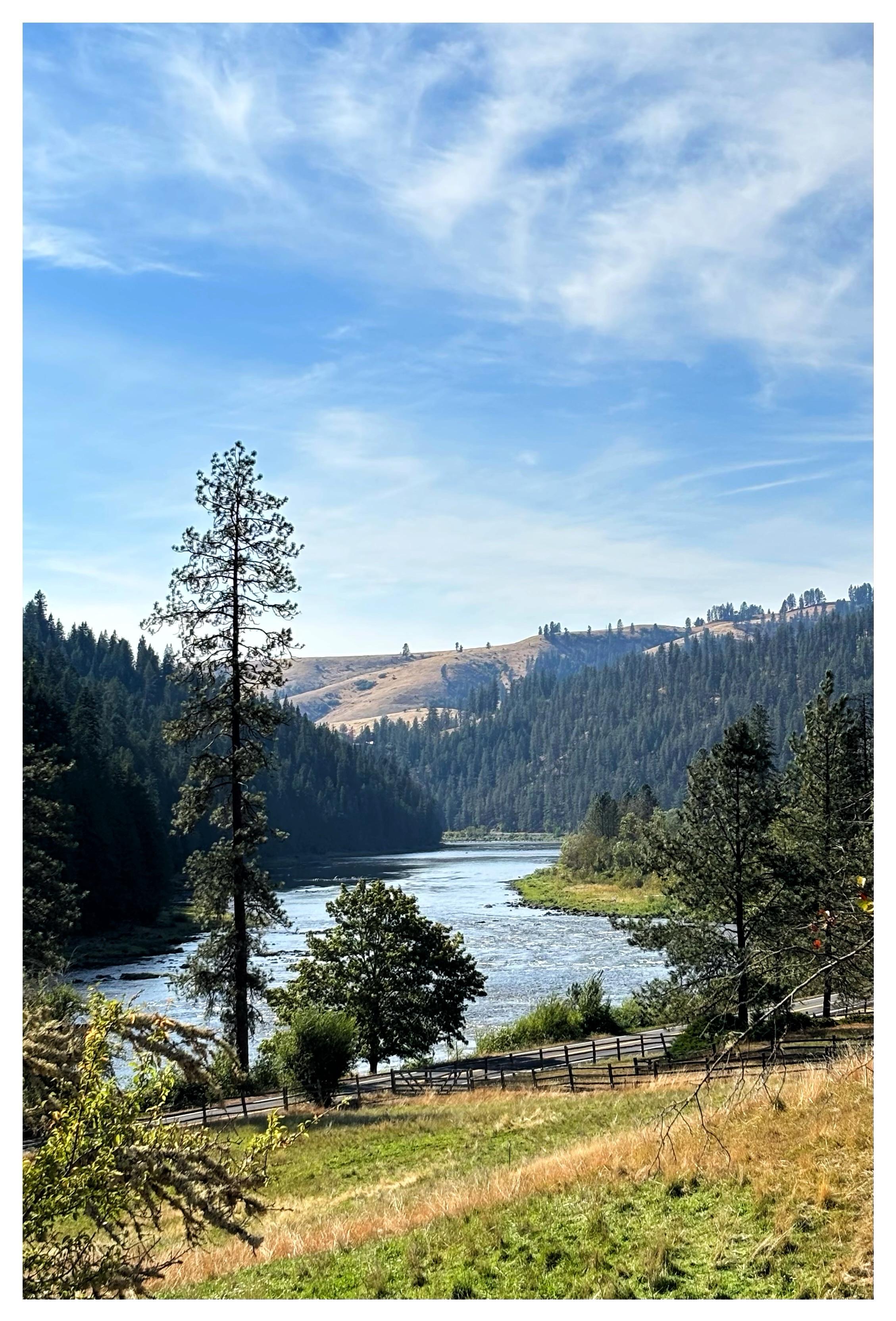 From a green field that slopes down to a fenced border and a tree-lined highway at the edge of the water, we see the wide, tranquil Clearwater River meander between hills into the distance — the nearer hills green with conifer forests, the farther ones brown and bare. The sky is a pale afternoon blue with wisps of high white clouds.