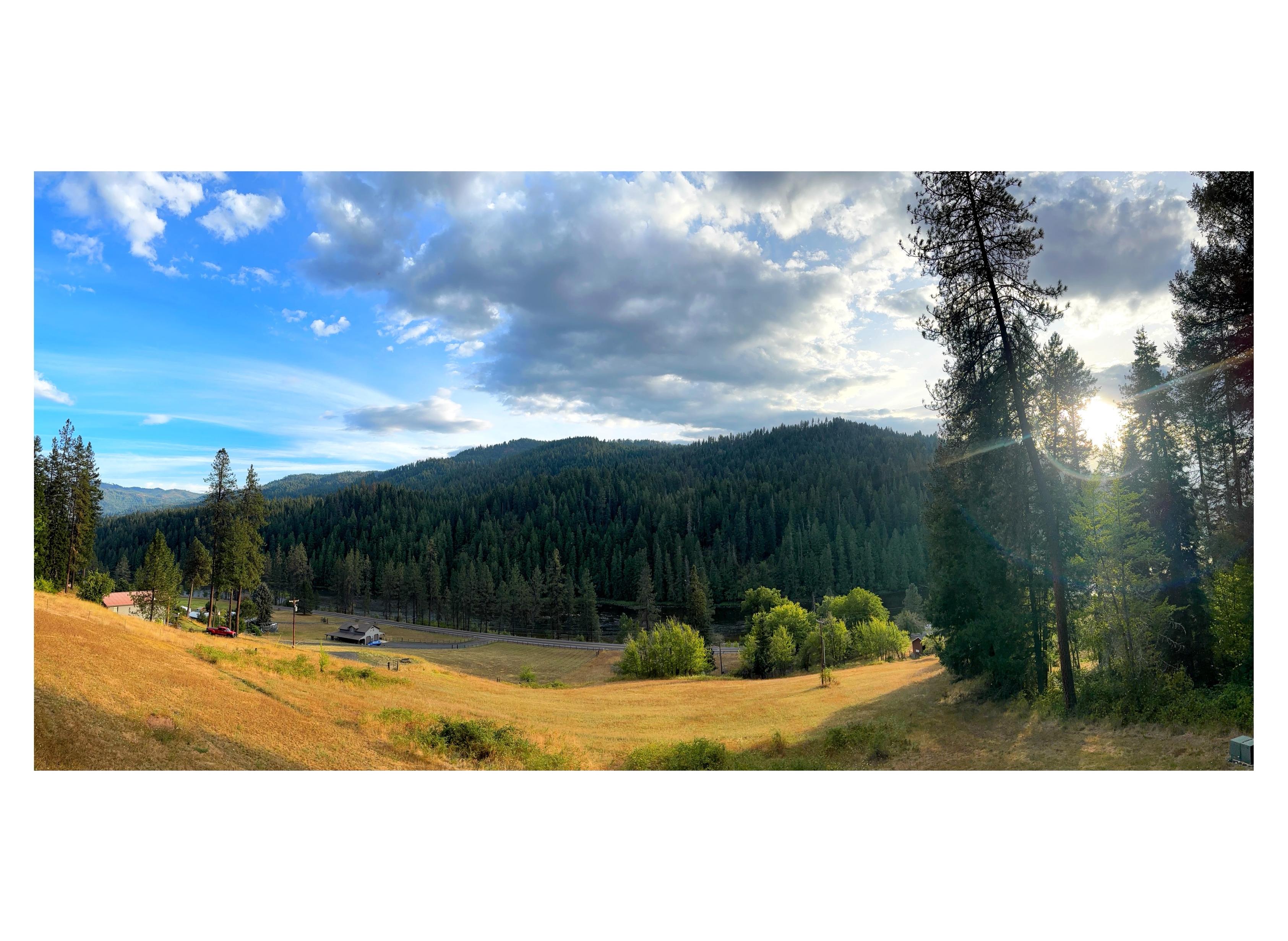 Series of panoramic photos of the same vista: a wide field sloping down to some trees and tiny houses beside a ribbon of highway bordering a river. Hills rise on the river’s far side, covered by a dense forest of pines and firs. Tall pines stand in the foreground at the right edge of the scene. In this photo it’s late afternoon, with the setting sun shining through the pines at right and casting golden light on the field. Thick white clouds move across the vivid blue sky.