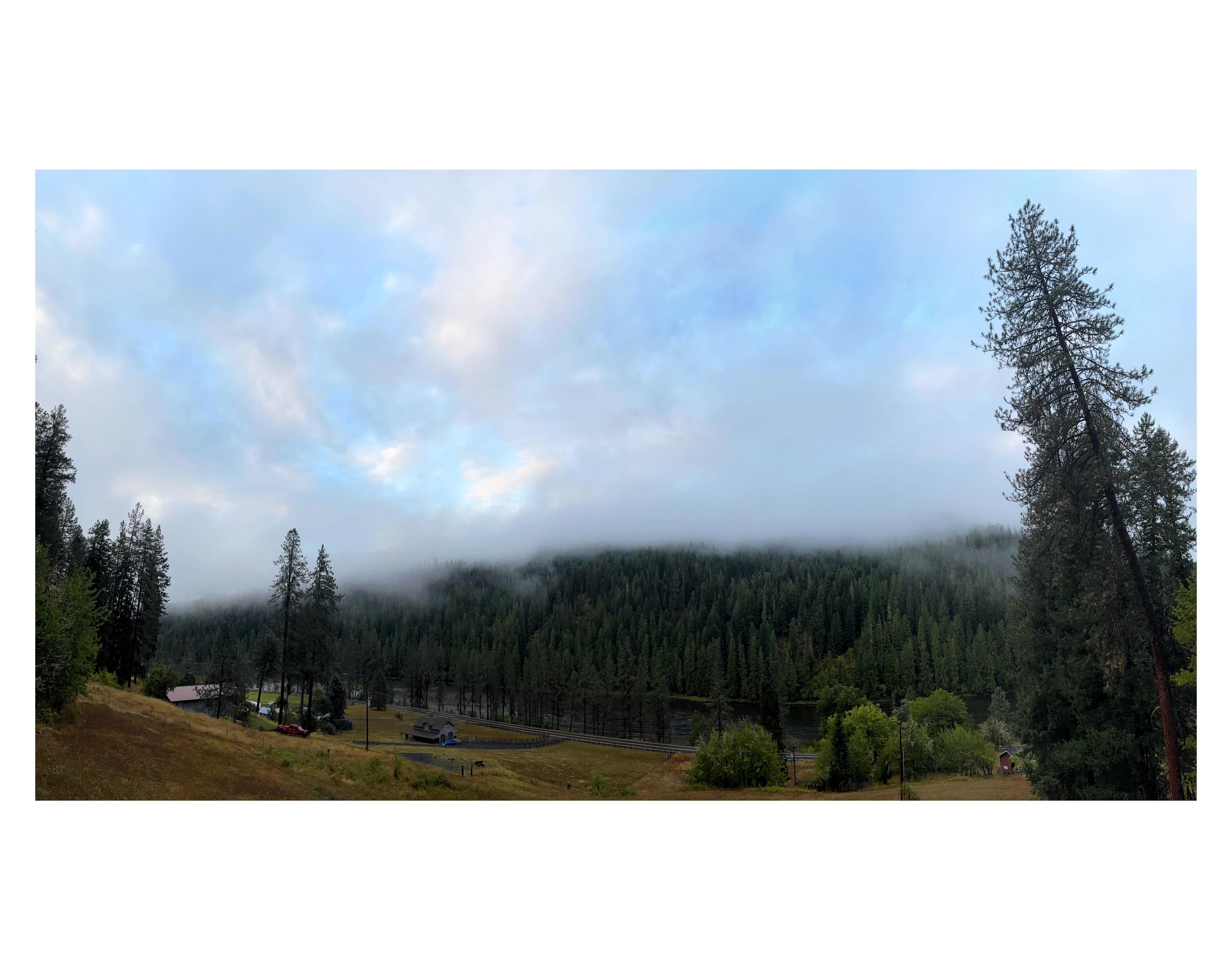 Fourth in a series, taken before sunrise the next morning. The landscape wears muted greens and browns in the soft dawn light, with fog softening the treetops and rising into a pale blue sky with clouds.