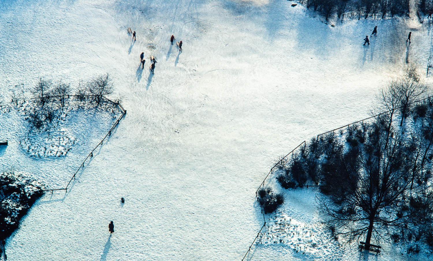 Aerial view of a snow-covered park with small figures and bushes casting long shadows.