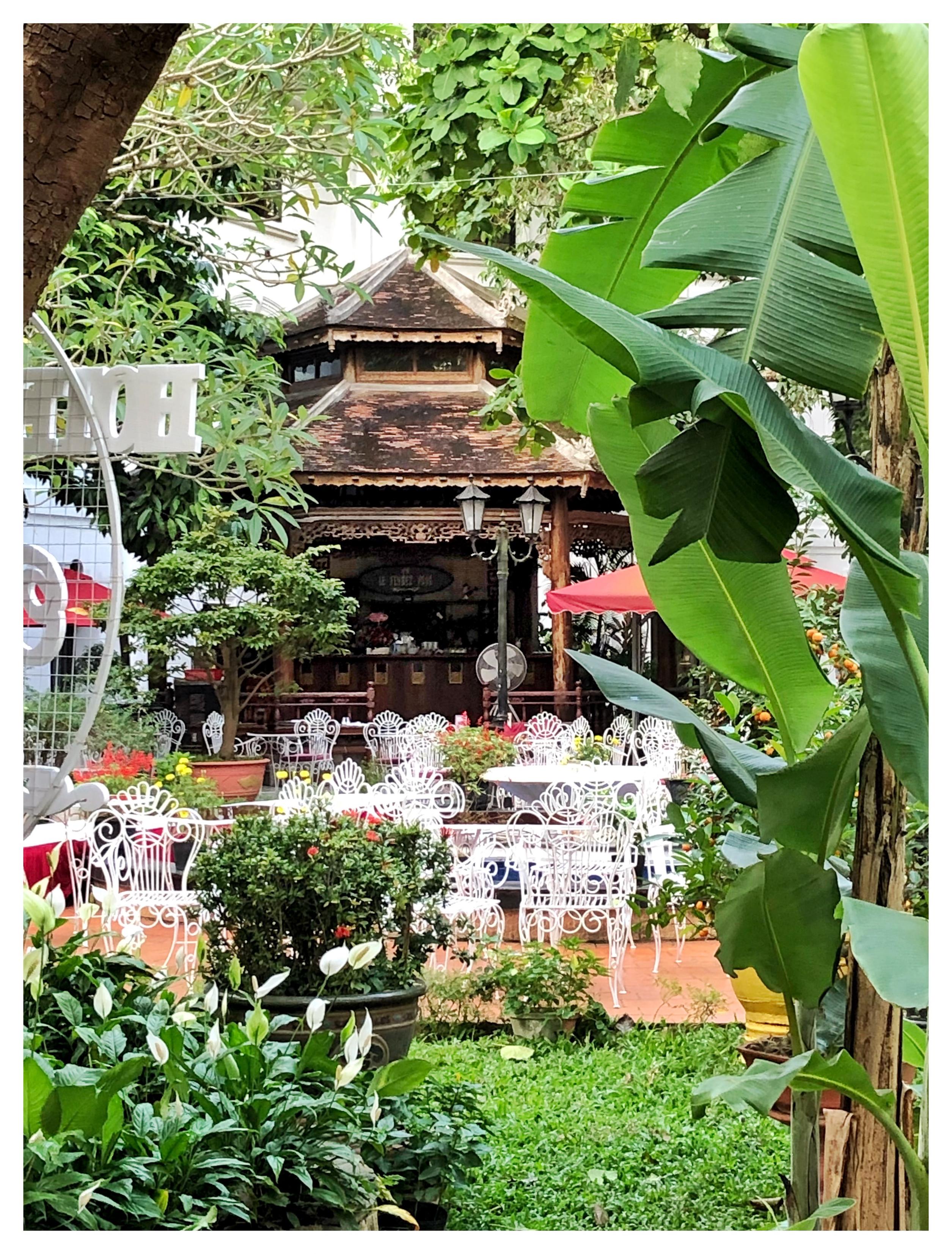 A lushly green hotel courtyard in Vietnam. Framed by a tree trunk at left and a plant with giant elongated leaves at right, we see round white tables and white metal chairs with elaborate swirling bars, arranged on a paved area surrounded by trees, shrubs, potted plants and beds of grass. In the background, behind an old-fashioned lamppost with branched arms holding two lanterns, is a wooden structure with a two-tiered roof containing a drinks bar.