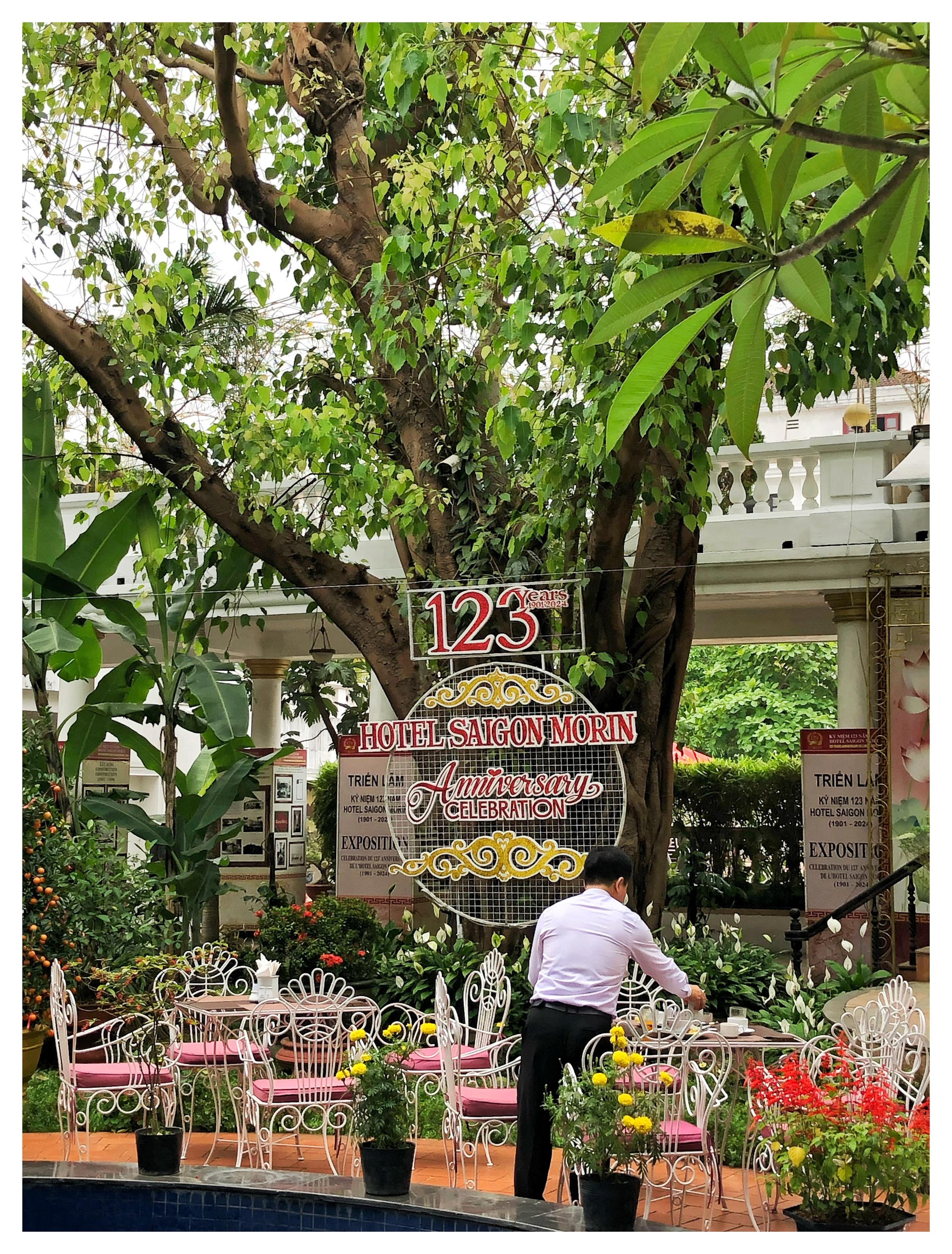 A lush green courtyard in a hotel in Vietnam, filled with potted flowers and other greenery. A staff worker in a white shirt and dark pants walks among tables and red-cushioned chairs and arranges items on a tabletop. A large tree rises in the background, on which is mounted a fancy sign that reads “123 Years - Hotel Saigon Morin Anniversary Celebration.” Behind the tree is a second-floor balcony with railings, held up by columns surrounded by standing signs that say “Exposition” among some Vietnamese text. More greenery can be glimpsed beyond.