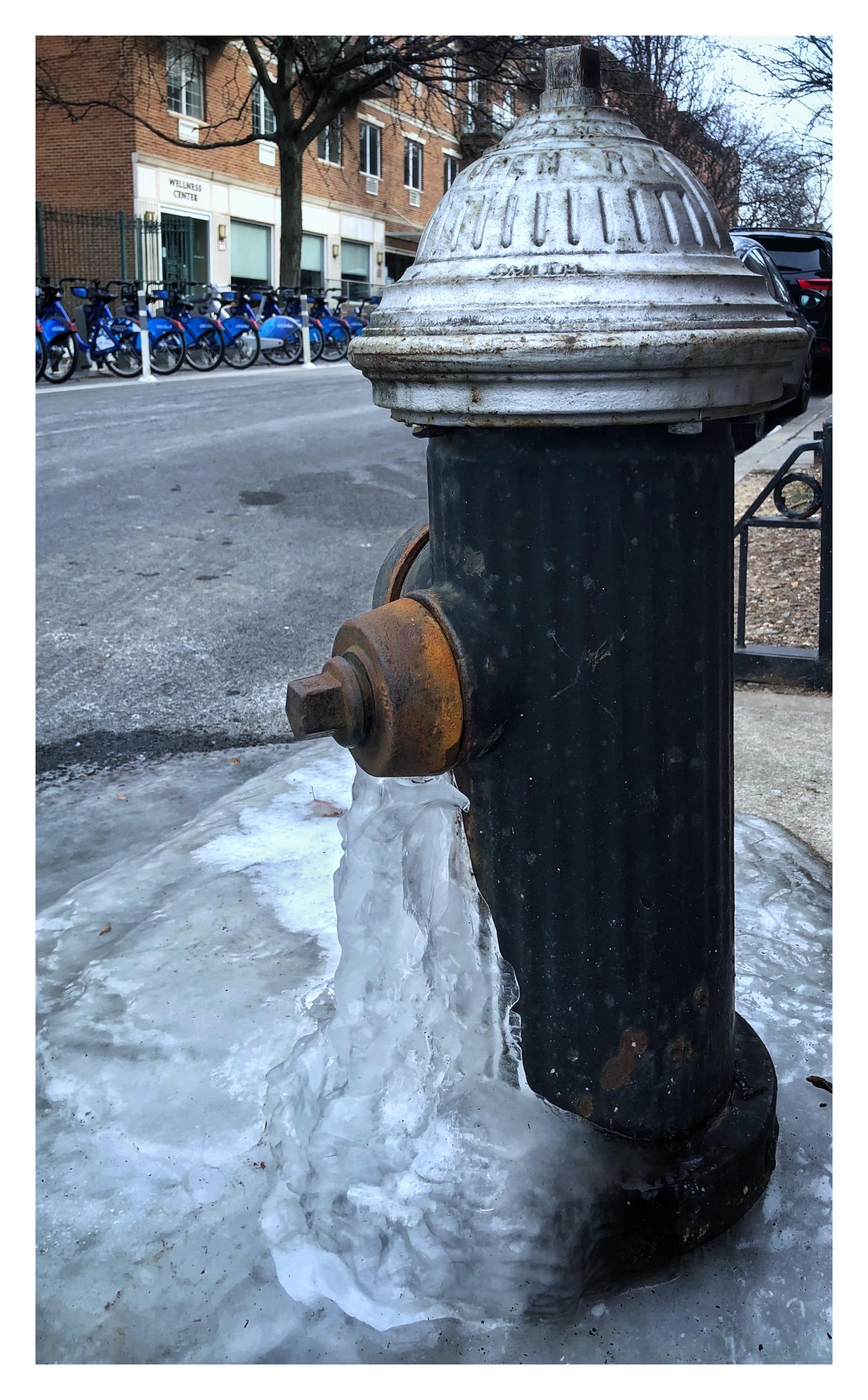 Closeup on a rusting fire hydrant, painted black with a silver domed top, on a Brooklyn street on a frigid winter day. The water leaking out of the hydrant has solidified into a frozen cascade, spreading into a pool of ice on the sidewalk. In the background are an apartment building, a row of parked blue CitiBikes, and leafless trees, with a glimpse of pale sky.